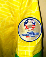 VINICIUS Jr 2024-25 (Brazil)