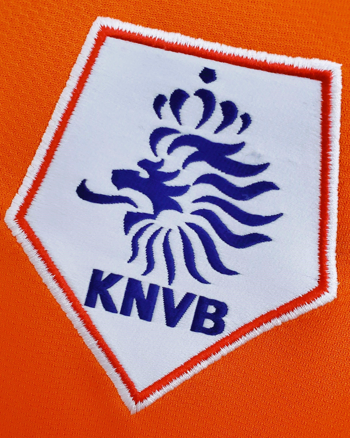 VAN PERSIE ROBIN 2008-09 (Neth)